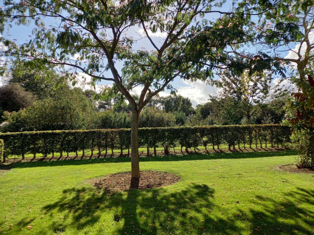 Les Bleuets Villa Mandeville-en-Bessin Luaran gambar